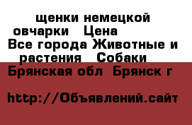 щенки немецкой овчарки › Цена ­ 15 000 - Все города Животные и растения » Собаки   . Брянская обл.,Брянск г.
